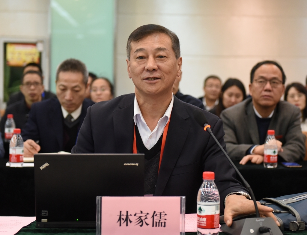 专家组组长林家儒主持会议